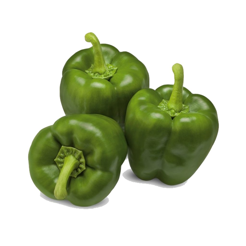 Green Pepper [Poivron] (1KG) – HoPscan