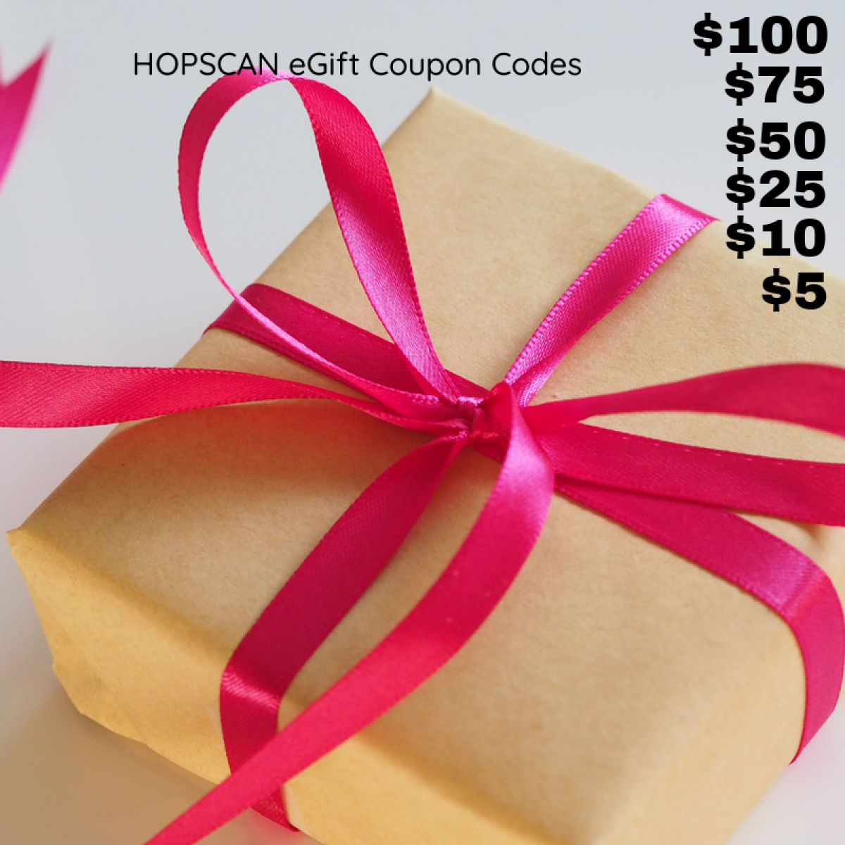 eGift Coupon Code HoPscan